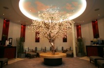 Launch of Royal Caribbean International's newest ship Allure of the Seas. Wellness Centre