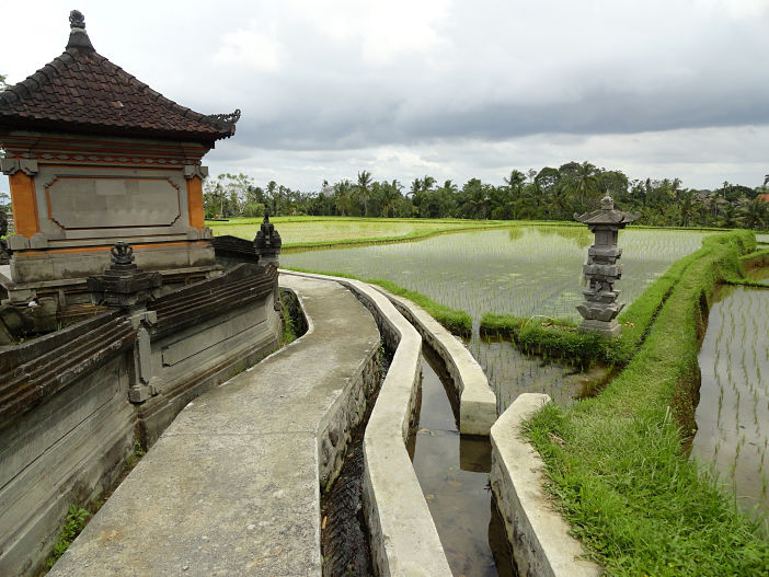 Campuhan Ridge Walk