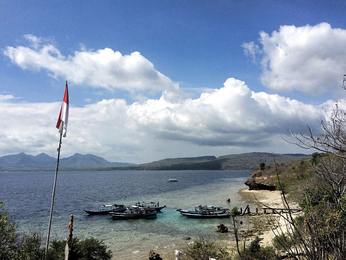 Menjangan Island