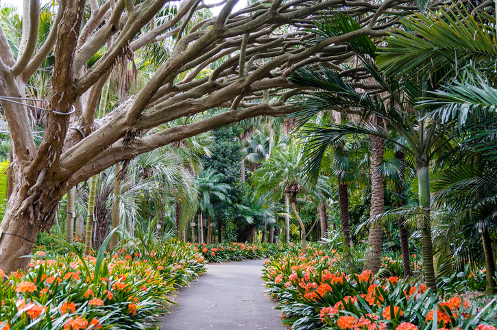 Botanic gardens australia