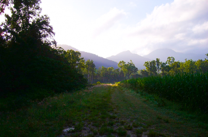 behana-gorge-cairns