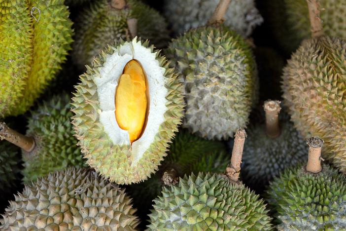 durian fruit malaysia
