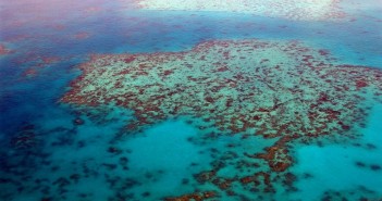 great barrier reef guide
