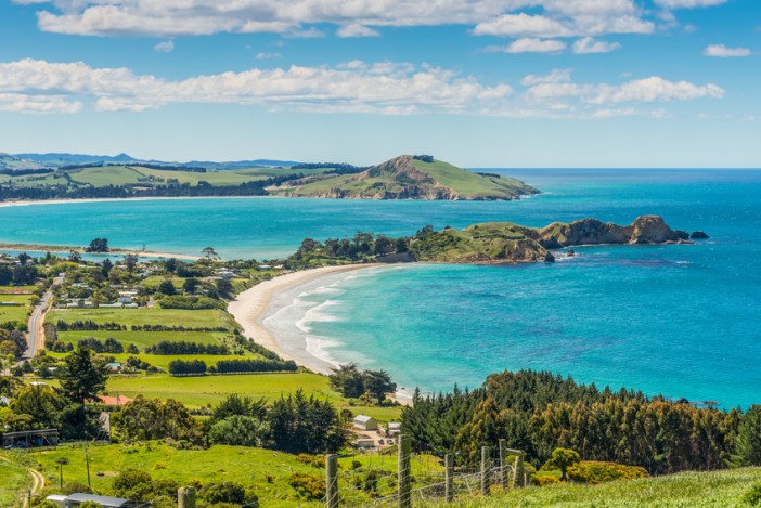 Dunedin coast