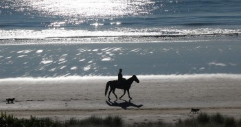Tauranga - Pixabay