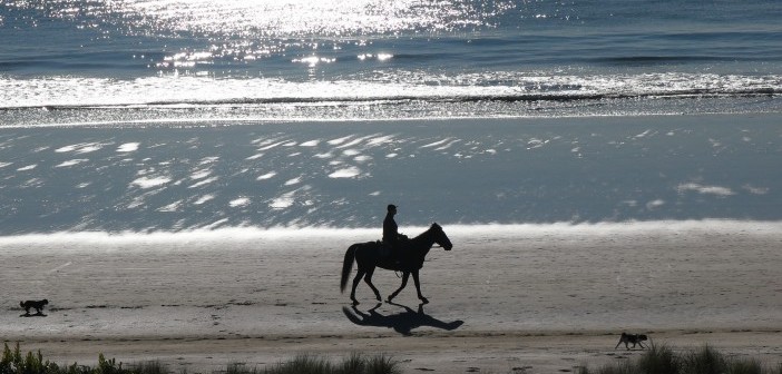 Tauranga - Pixabay