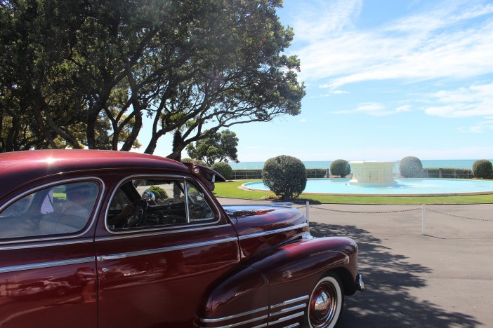 napier - pixabay