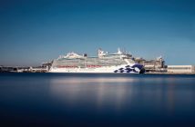 majestic-princess