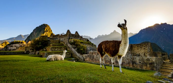 South America | Cruise1st Australia