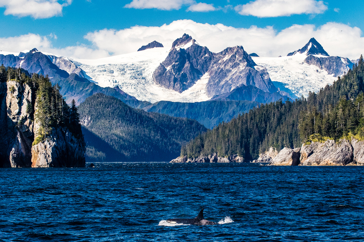 alaska destination guide