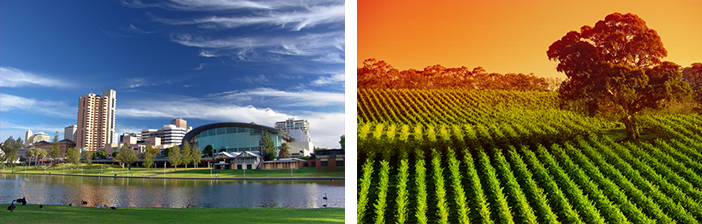 Adelaide Wine Fields Downtown Skyline Port of Adelaide