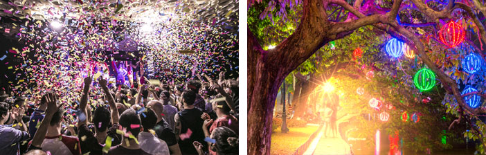 confetti Party and colourful light bulbs in a garden