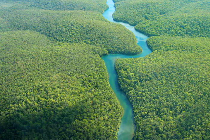 Amazon rainforest in Brazil