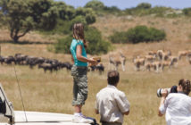 South African safari